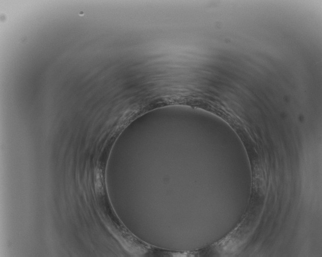 X0000068840130200605121416