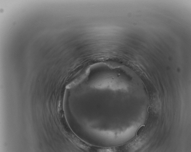 X0000068840131200605121416