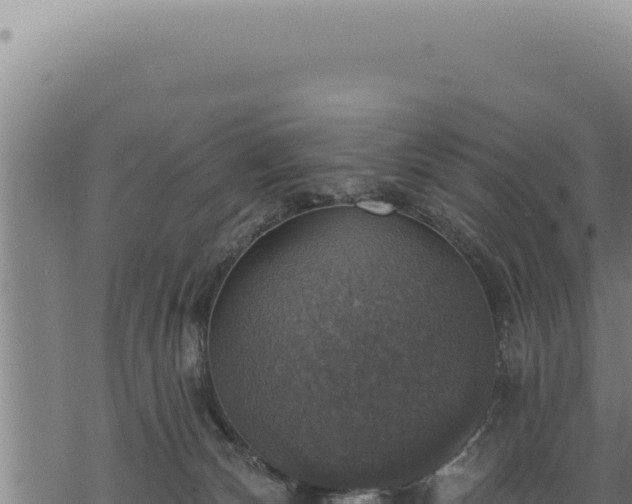 X0000068840132200605121416