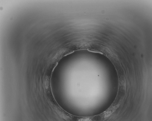 X0000068840133200605121416