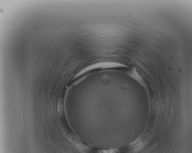 X0000068840134200605121416