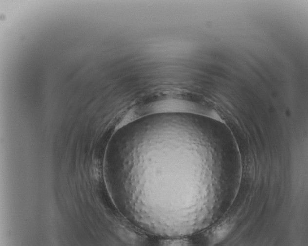 X0000068840135200605121416