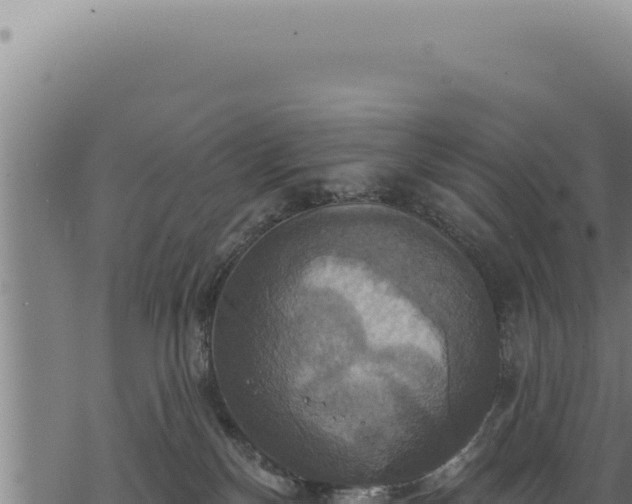 X0000068840136200605121416