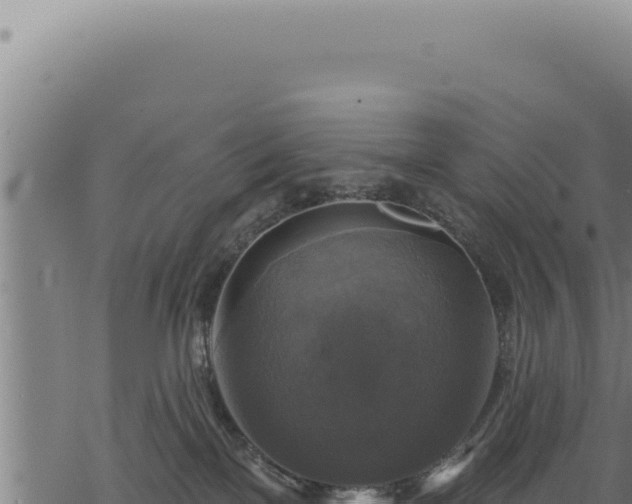 X0000068840137200605121416