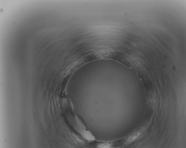 X0000068840139200605121416