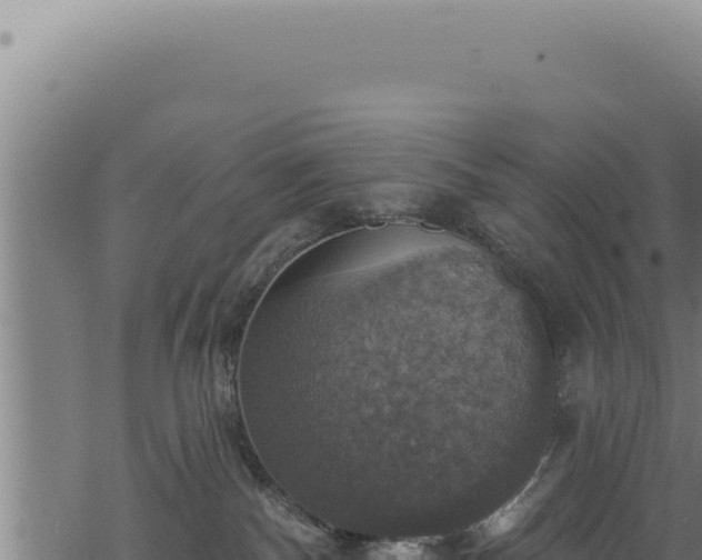 X0000068840140200605121416