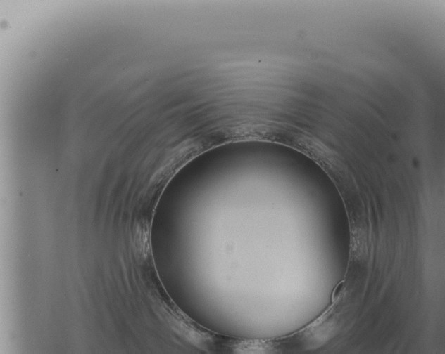 X0000068840142200605121416