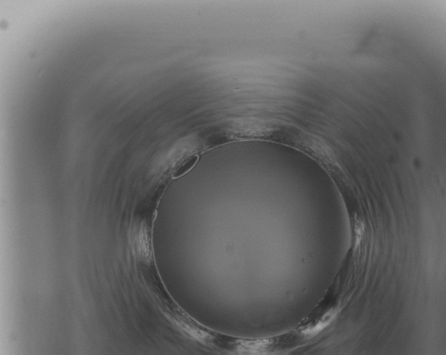 X0000068840143200605121416