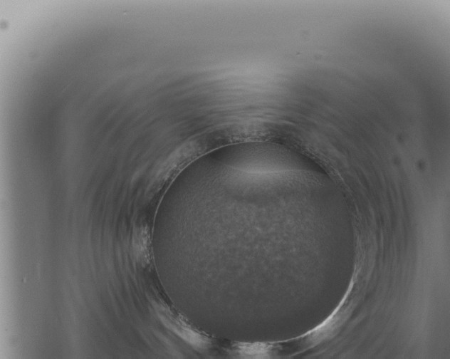 X0000068840144200605121416