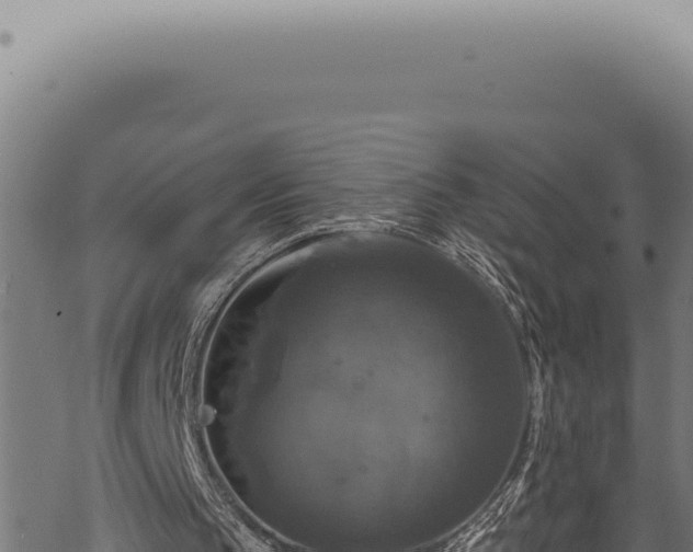 X0000068840145200605121415