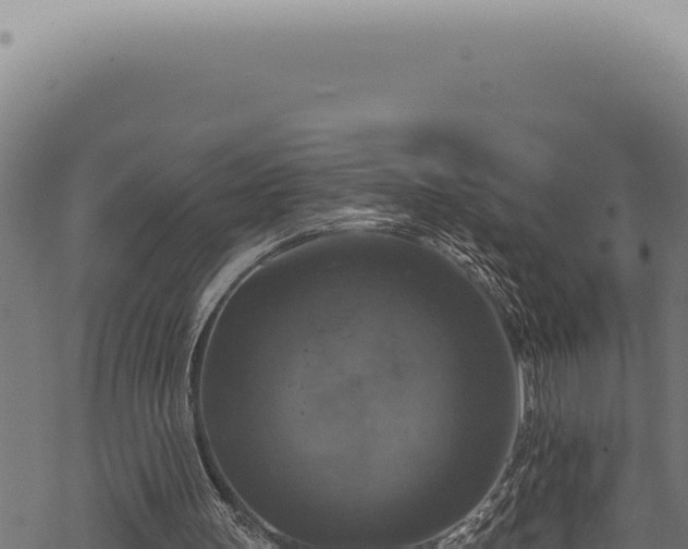 X0000068840147200605121415