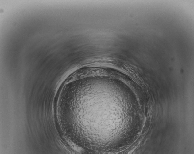 X0000068840148200605121415