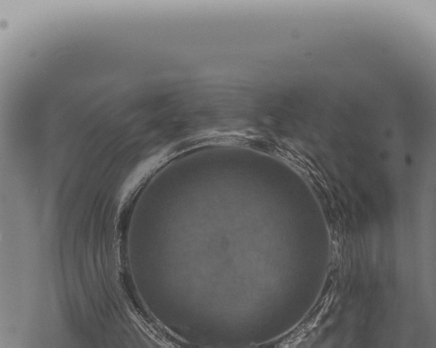 X0000068840149200605121415