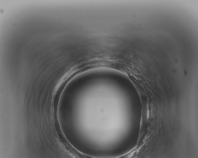 X0000068840150200605121415