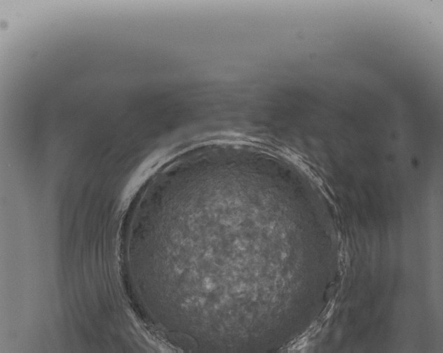 X0000068840151200605121415