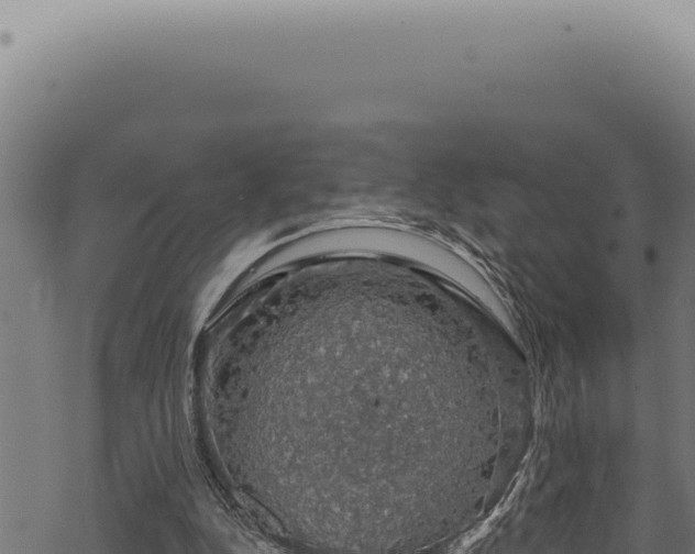 X0000068840152200605121415