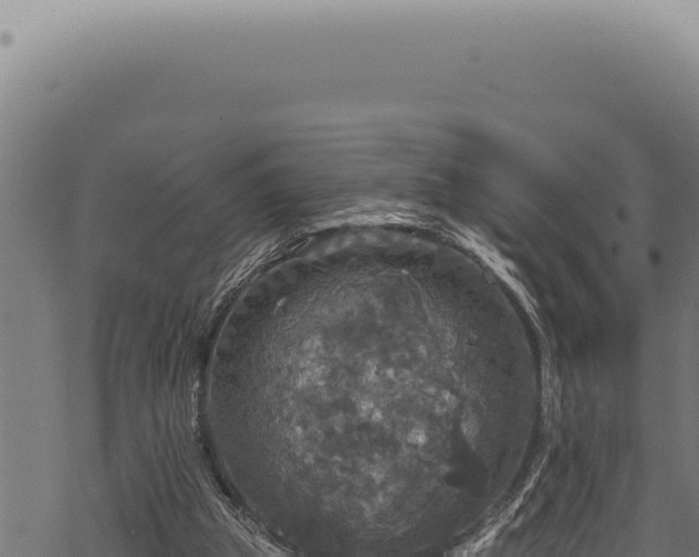 X0000068840153200605121415