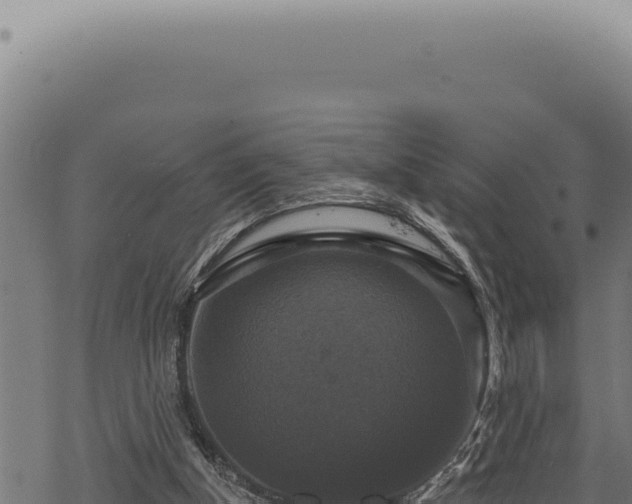 X0000068840154200605121415