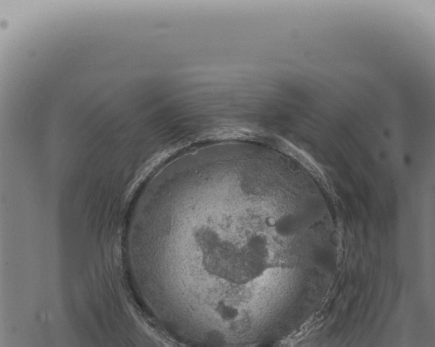 X0000068840155200605121415