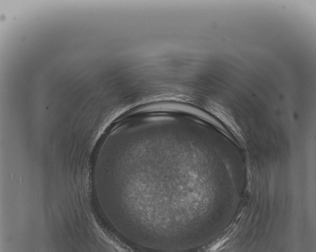 X0000068840156200605121415