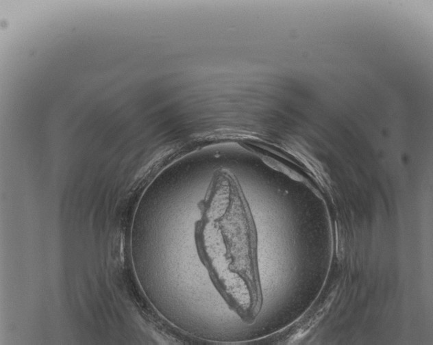 X0000068840157200605121415