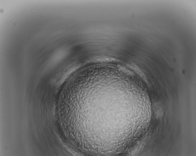 X0000068840159200605121415