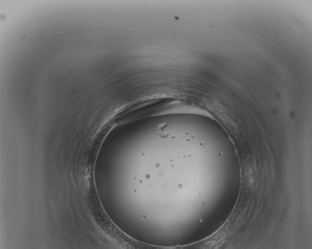 X0000068840160200605121415