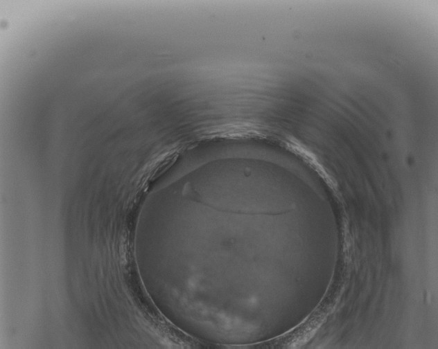 X0000068840161200605121415