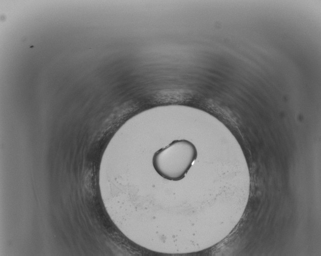 X0000068840162200605121415