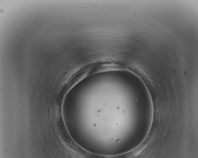 X0000068840164200605121415