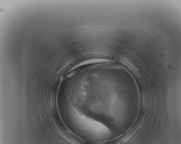 X0000068840165200605121415