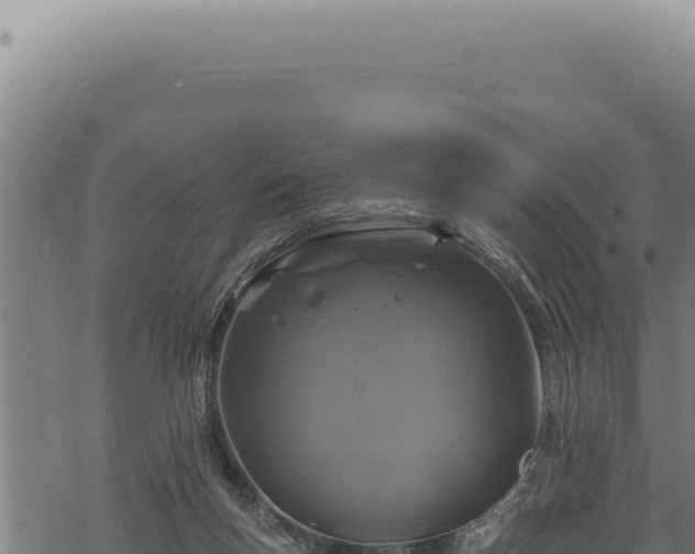 X0000068840167200605121415