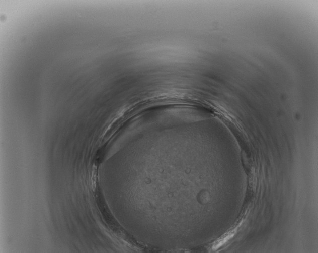 X0000068840168200605121415