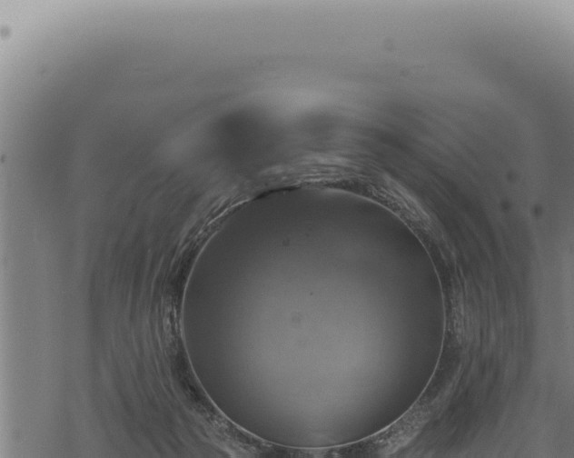 X0000068840169200605121415