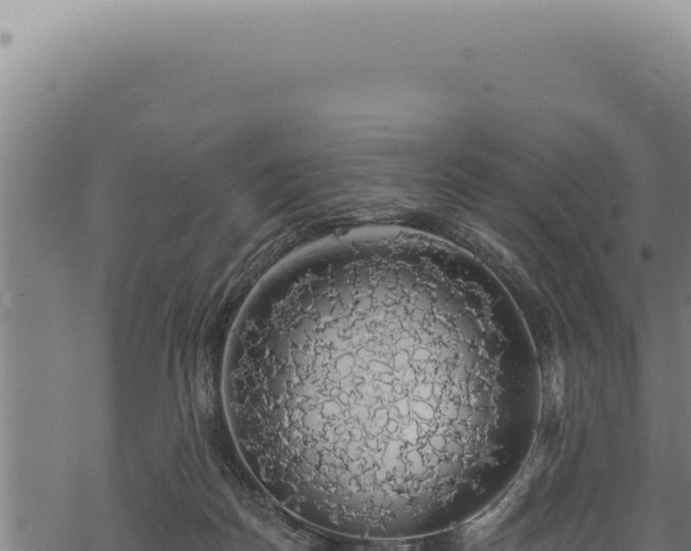 X0000068840170200605121415