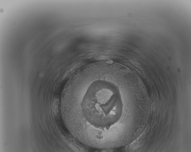 X0000068840171200605121415