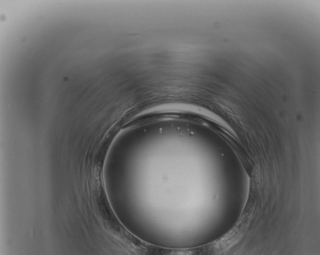 X0000068840172200605121416