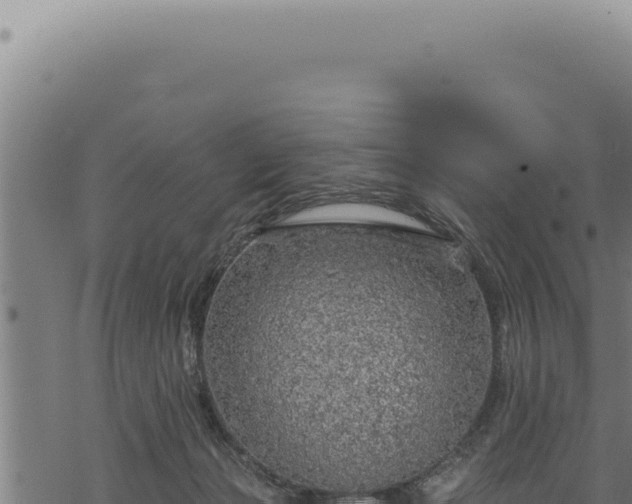 X0000068840173200605121416