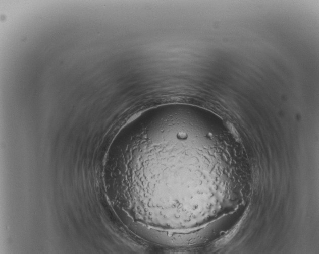 X0000068840174200605121416