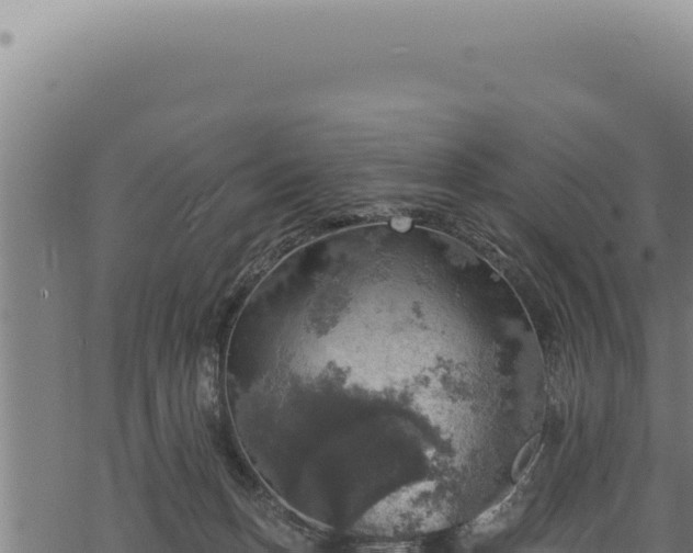 X0000068840175200605121416