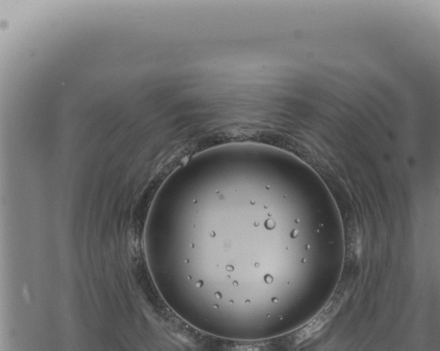 X0000068840176200605121416