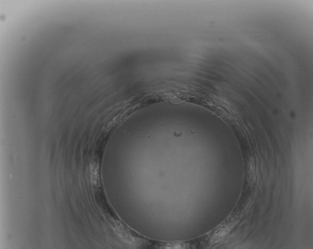 X0000068840177200605121416