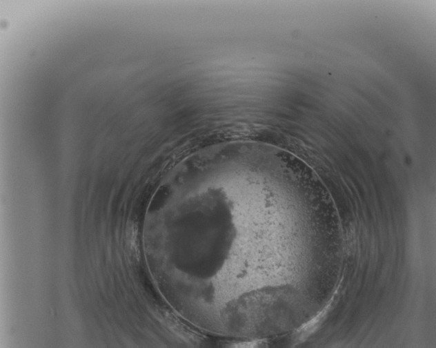 X0000068840178200605121416