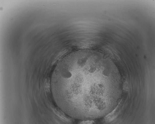 X0000068840179200605121416