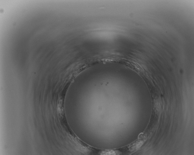 X0000068840181200605121416