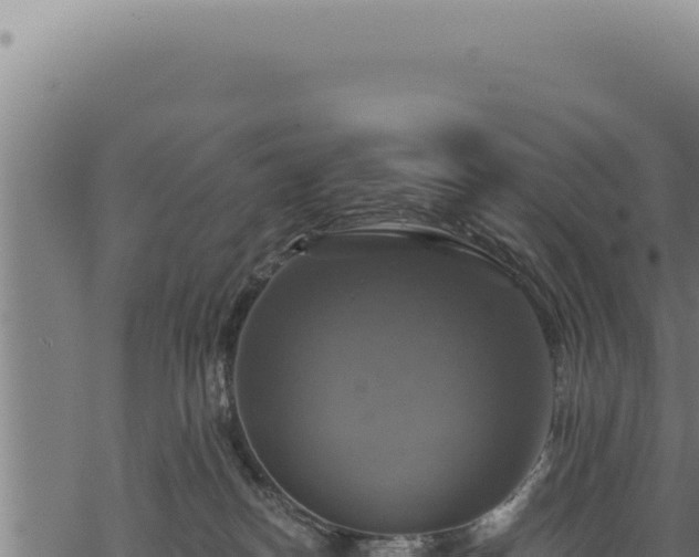 X0000068840182200605121416