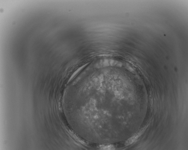 X0000068840185200605121416