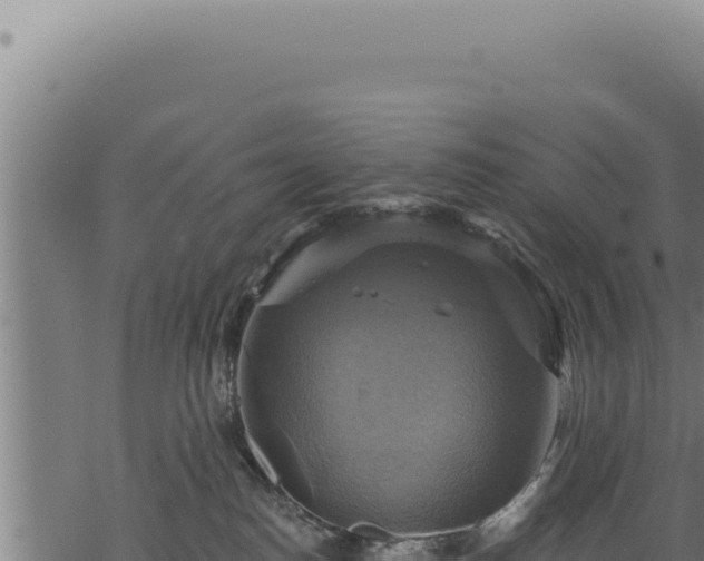 X0000068840186200605121416