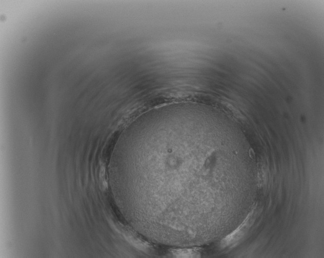 X0000068840187200605121416