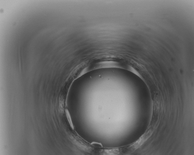 X0000068840188200605121416